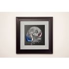 Framed Crystal Wall Art - Nature Moonlight Swans Black Frame Blue, Pink, Clear Crystal 30x30x3.2cm