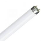 16W T8 Fluorescent Tube 720mm Cool White 4000K, Equivalent to Sylvania 0000871
