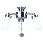 Fantasia 220954 Ceiling Fan Light - Sparta 3 Light Cluster Stainless Steel