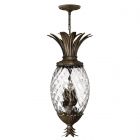 Hinkley HK/PLANT4/P PZ Plantation 4lt Pentant Pearl Bronze