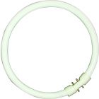 BELL 05463 40W T5 Circular Tube - 2GX13, 4000K - Cool White