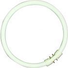 BELL 05471 60W T5 Circular Tube - 2GX13, 6500K - Daylight