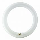 Casell FC22W/BL368 BLACK LIGHT 22W T9 CIRCLINE TUBE 216mm (FLY KILLER)