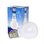 Leuci 100W 230V Bayonet B22 T60 Softone Snow White