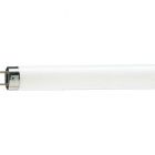 Philips Master TL-D 18W/79 590mm T8 Fluorescent Tube Food