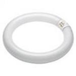 Category Circular Fluorescent Tubes image